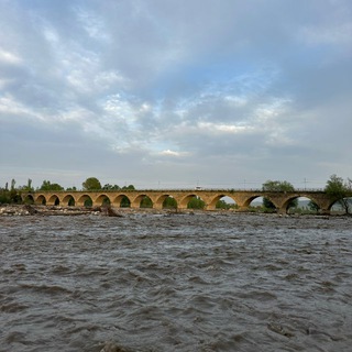 Логотип Телеграм канала . Бесплатная аналитика Telegram каналов