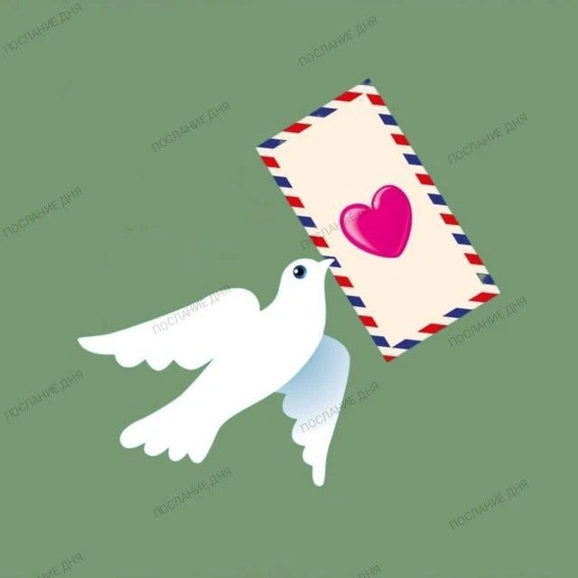 Telegram Channel logo 6mtbzml27tvpcyredh1m1p9irdoezfwbwdxvoccnih8. Free Telegram Channel Analytics