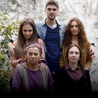 Telegram Channel logo shemiua. Free Telegram Channel Analytics