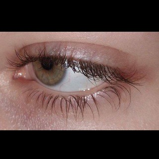 Telegram Channel logo . Free Telegram Channel Analytics