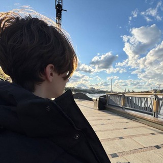 Логотип Телеграм канала vilkaa71. Бесплатная аналитика Telegram каналов