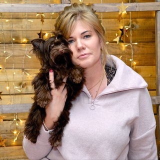 Логотип Телеграм канала . Бесплатная аналитика Telegram каналов