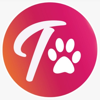 Telegram Channel logo TurboTrix Annoucements. Free Telegram Channel Analytics