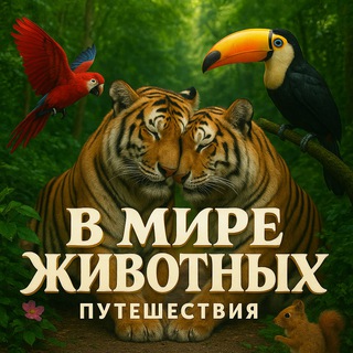 Логотип Телеграм канала vmirezhivotnyih. Бесплатная аналитика Telegram каналов