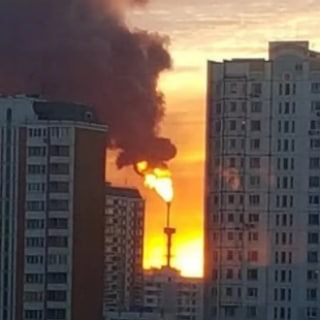 Логотип Телеграм канала . Бесплатная аналитика Telegram каналов