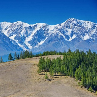 Telegram Channel logo +TfrI_8KWyUUwZmIy. Free Telegram Channel Analytics