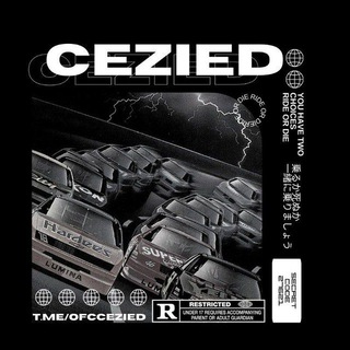 Telegram Channel logo SHITPUS. Free Telegram Channel Analytics