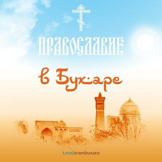 Логотип Телеграм канала . Бесплатная аналитика Telegram каналов