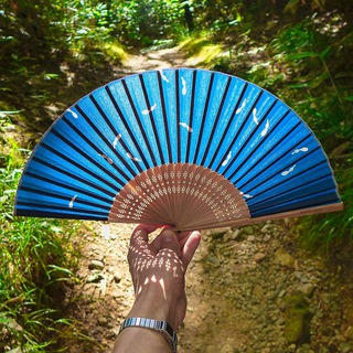 Telegram Channel logo Kyoto Insights. Free Telegram Channel Analytics