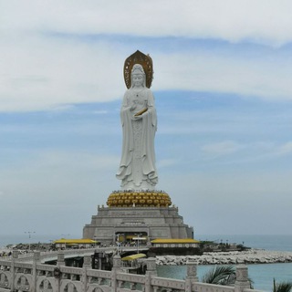 Telegram Channel logo hainansanyazoya. Free Telegram Channel Analytics