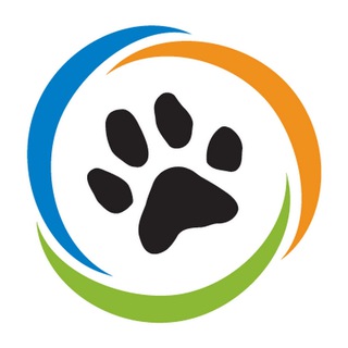 Telegram Channel logo pet_vrn. Free Telegram Channel Analytics