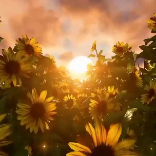 Telegram Channel logo ƬƦΔƝƇƑǑƦMΔƬƟƦ. Free Telegram Channel Analytics