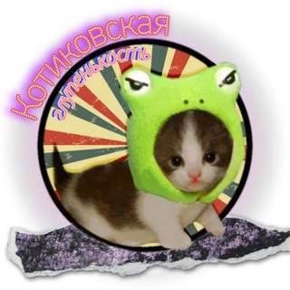 Логотип Телеграм канала . Бесплатная аналитика Telegram каналов