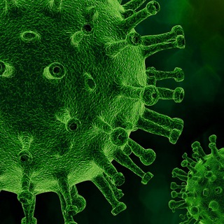 Логотип Телеграм канала . Бесплатная аналитика Telegram каналов