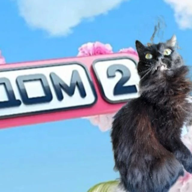 Telegram Channel logo leopold. Free Telegram Channel Analytics