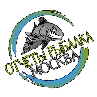 Telegram Channel logo rubalkamoskva. Free Telegram Channel Analytics