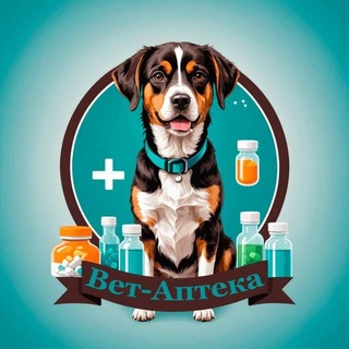 Telegram Channel logo bravekkto. Free Telegram Channel Analytics