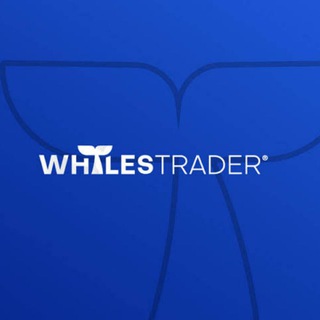 Telegram Channel logo BINANCE & BITMEX SOCIETY. Free Telegram Channel Analytics