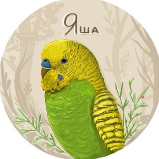 Логотип Телеграм канала . Бесплатная аналитика Telegram каналов