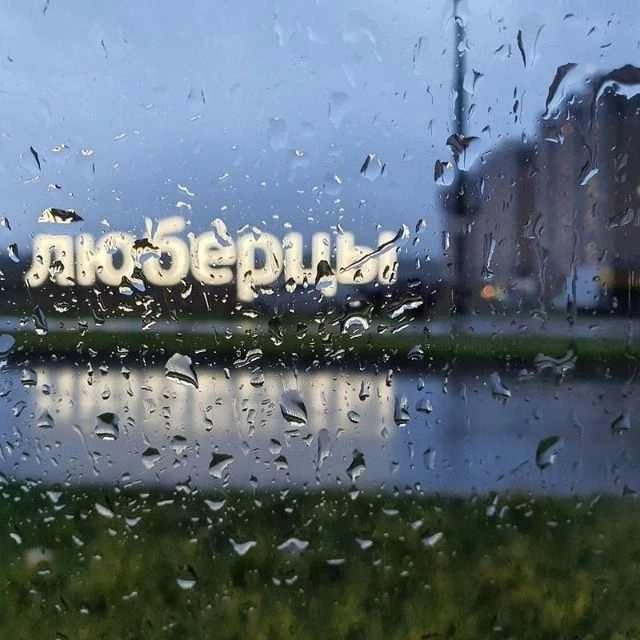 Telegram Channel logo samolet_feed. Free Telegram Channel Analytics