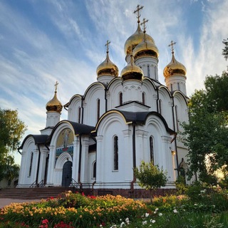 Логотип Телеграм канала . Бесплатная аналитика Telegram каналов