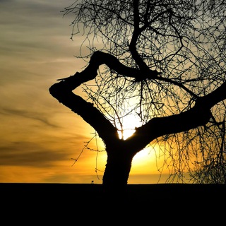 Telegram Channel logo Alles was du zum Leben brauchst - Tageszusammenfassungen und Archiv. Free Telegram Channel Analytics