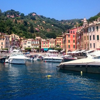 Логотип Телеграм канала . Бесплатная аналитика Telegram каналов