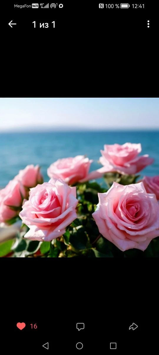 Логотип Телеграм канала club226088426. Бесплатная аналитика Telegram каналов