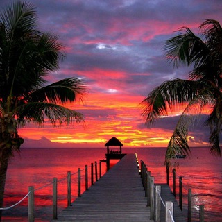 Логотип Телеграм канала be_places. Бесплатная аналитика Telegram каналов