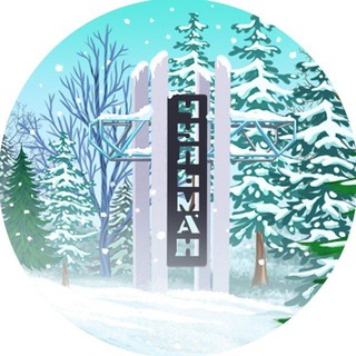 Логотип Телеграм канала vchulmane. Бесплатная аналитика Telegram каналов