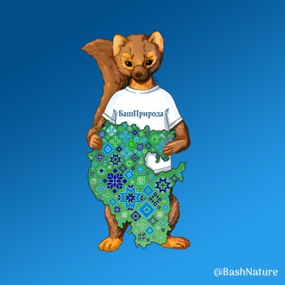 Логотип Телеграм канала BashNature. Бесплатная аналитика Telegram каналов