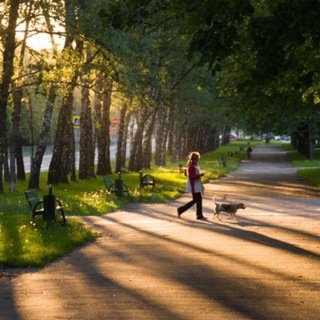 Telegram Channel logo mskgagarin. Free Telegram Channel Analytics