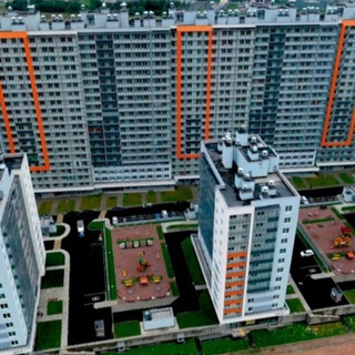 Логотип Телеграм канала . Бесплатная аналитика Telegram каналов