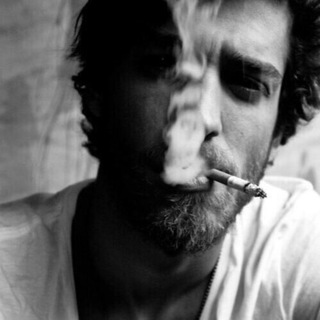 Логотип Телеграм канала BROODY. Бесплатная аналитика Telegram каналов