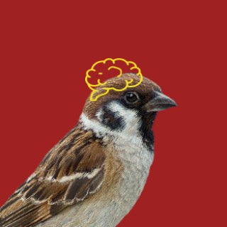 Логотип Телеграм канала suda_smotri. Бесплатная аналитика Telegram каналов