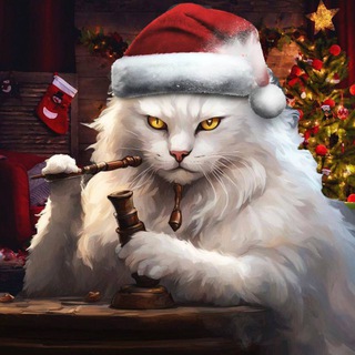 Telegram Channel logo beleebelogo. Free Telegram Channel Analytics