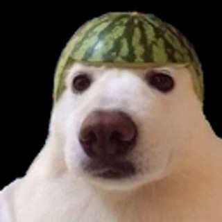 Логотип Телеграм канала meme_vros. Бесплатная аналитика Telegram каналов