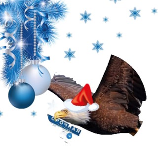 Telegram Channel logo orel57express. Free Telegram Channel Analytics