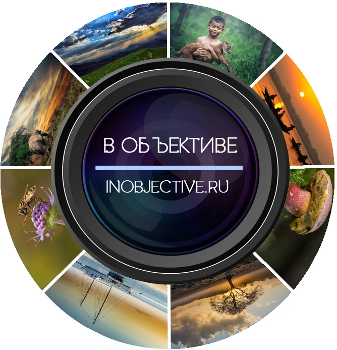 Telegram Channel logo club47421470. Free Telegram Channel Analytics