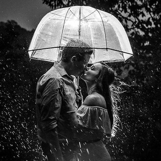 Telegram Channel logo Pictures | Photos | Images. Free Telegram Channel Analytics