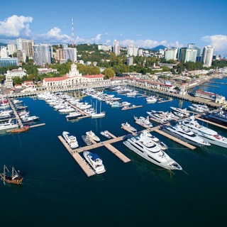 Telegram Channel logo +Ka1grMgBAUExMWNi. Free Telegram Channel Analytics