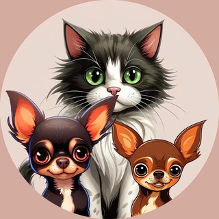 Telegram Channel logo domlubimci. Free Telegram Channel Analytics