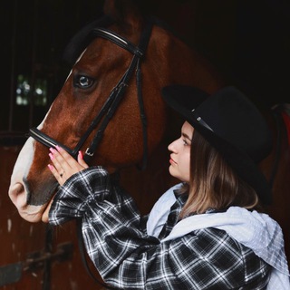 Логотип Телеграм канала . Бесплатная аналитика Telegram каналов