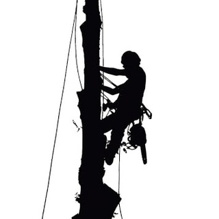 Логотип Телеграм канала ПрофАльп Арборист слэб. Бесплатная аналитика Telegram каналов