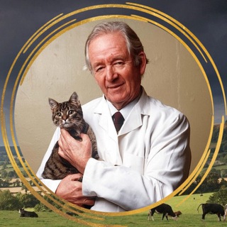 Telegram Channel logo jamesharriot_tg. Free Telegram Channel Analytics