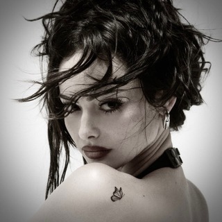 Telegram Channel logo . Free Telegram Channel Analytics