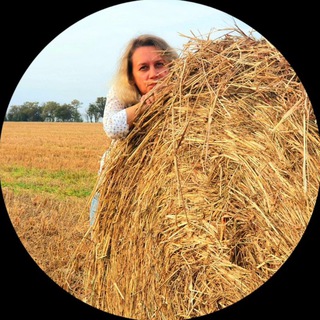 Telegram Channel logo anapaone. Free Telegram Channel Analytics