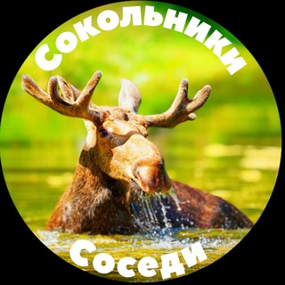 Логотип Телеграм канала sokolnikisosedimoscow. Бесплатная аналитика Telegram каналов