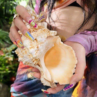 Telegram Channel logo . Free Telegram Channel Analytics