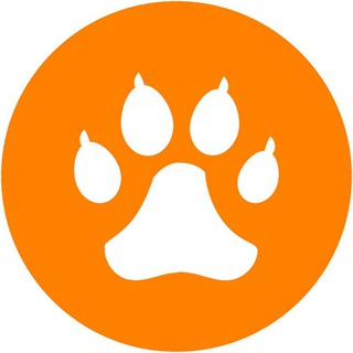 Логотип Телеграм канала . Бесплатная аналитика Telegram каналов